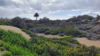 2023-GC--Mapalomas dunas-S123-056.jpg